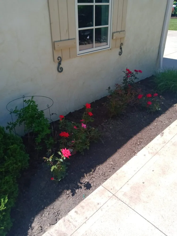 Expert lawn care service in Cleveland, OH - Huggins Lawn Care