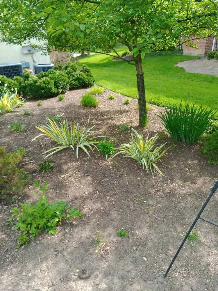Expert yard cleanup service for year-round maintenance in Cleveland, OH by Huggins Lawn Care
