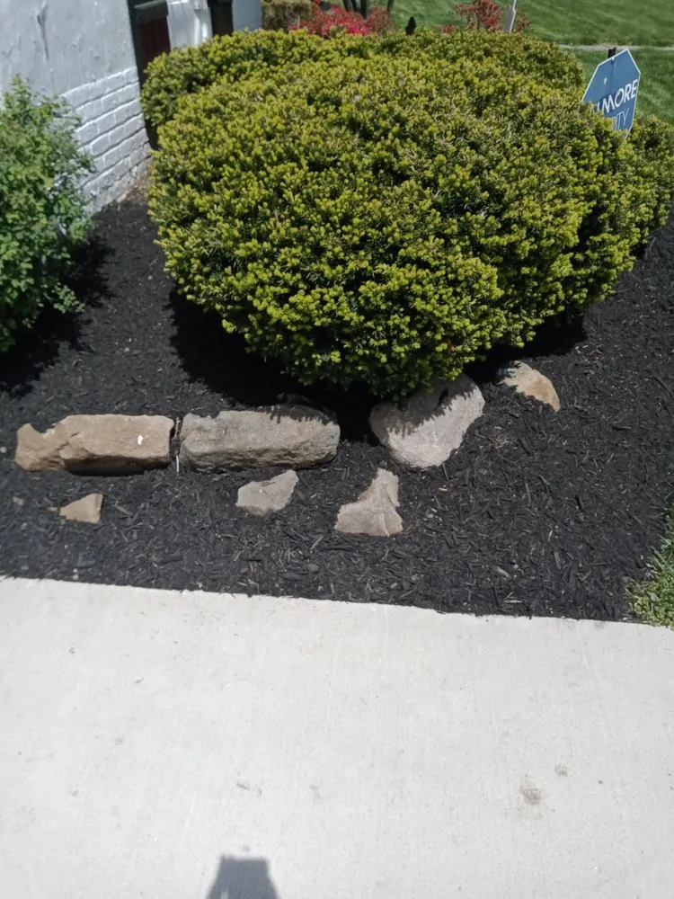 Top-rated yard cleanup service experts serving Cleveland, OH - Huggins Lawn Care