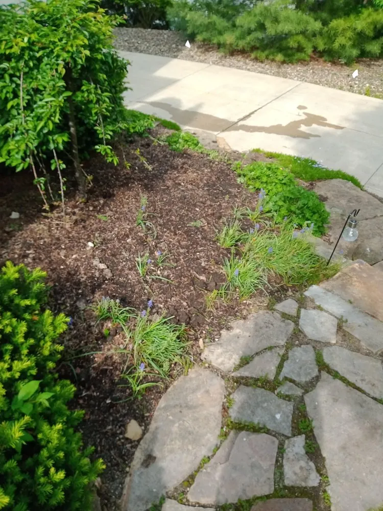 Expert lawn care service in Cleveland, OH - Huggins Lawn Care