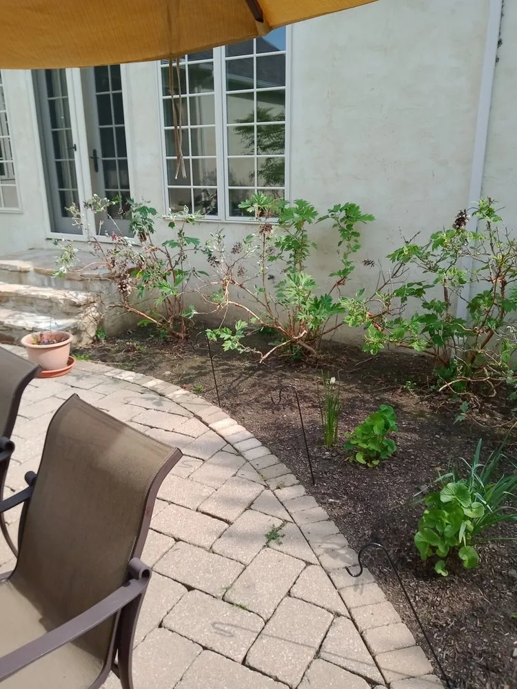 Affordable lawn care service near you in Cleveland, OH by Huggins Lawn Care