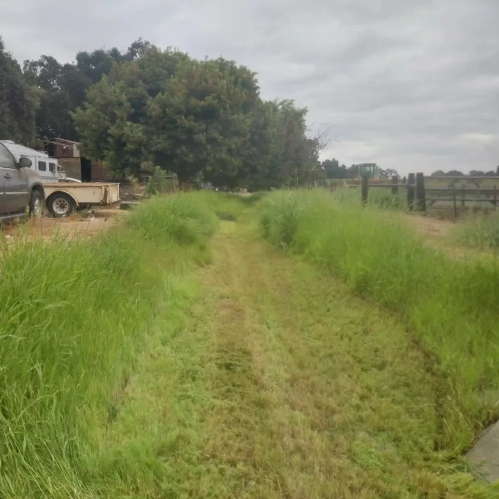 Affordable landscaping services in Manteca, CA by Hughes and Sons