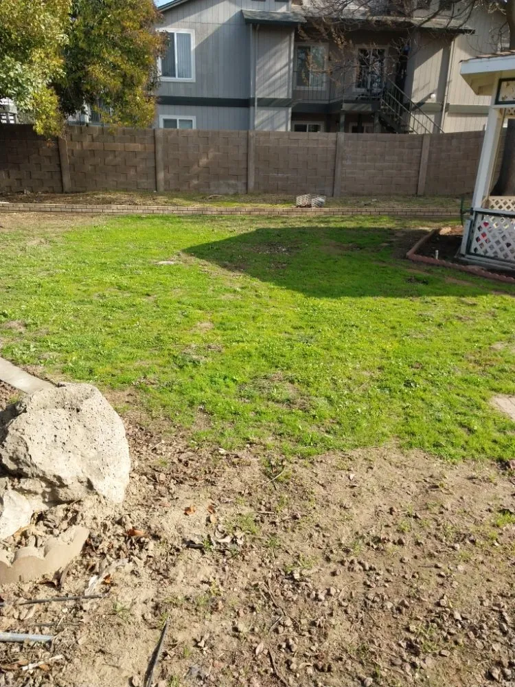 Reliable yard maintenance in Manteca, CA - Hughes and Sons