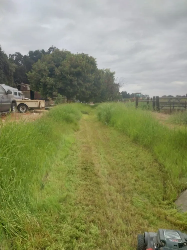 Professional outdoor landscaping experts serving Manteca, CA - Hughes and Sons