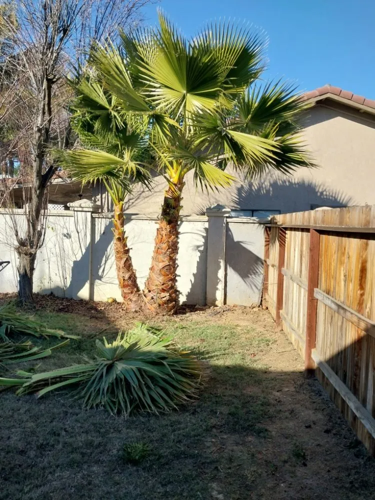 Top-rated garden landscaping experts serving Manteca, CA - Hughes and Sons