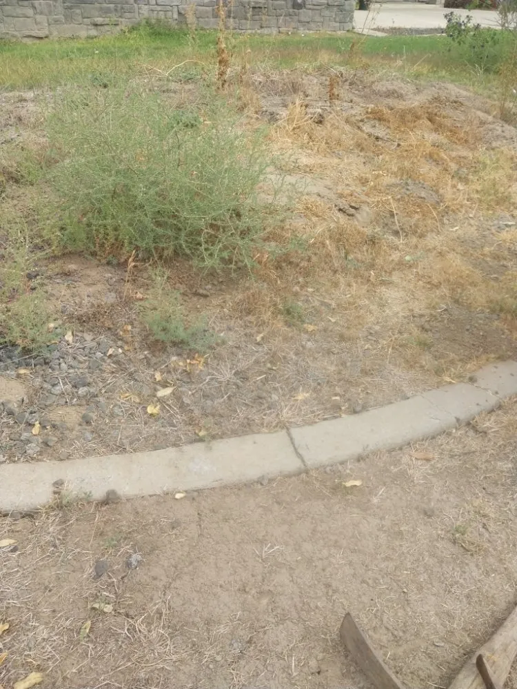 Top-rated lawn mowing service in Manteca, CA - Hughes and Sons