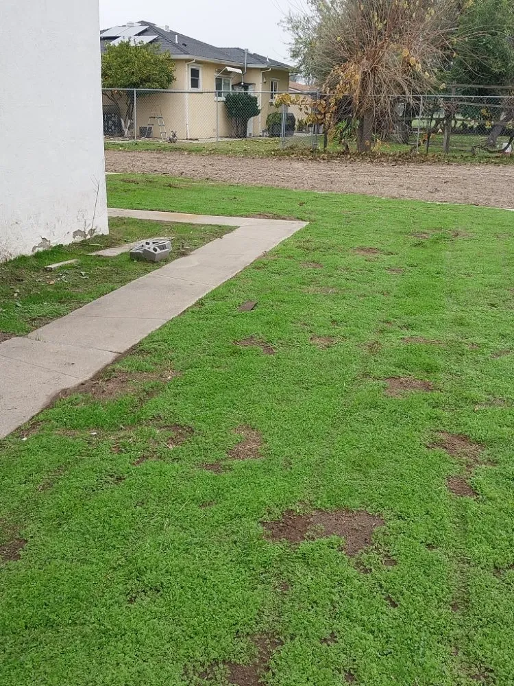 Professional residential landscaping for year-round maintenance across Manteca, CA - Hughes and Sons