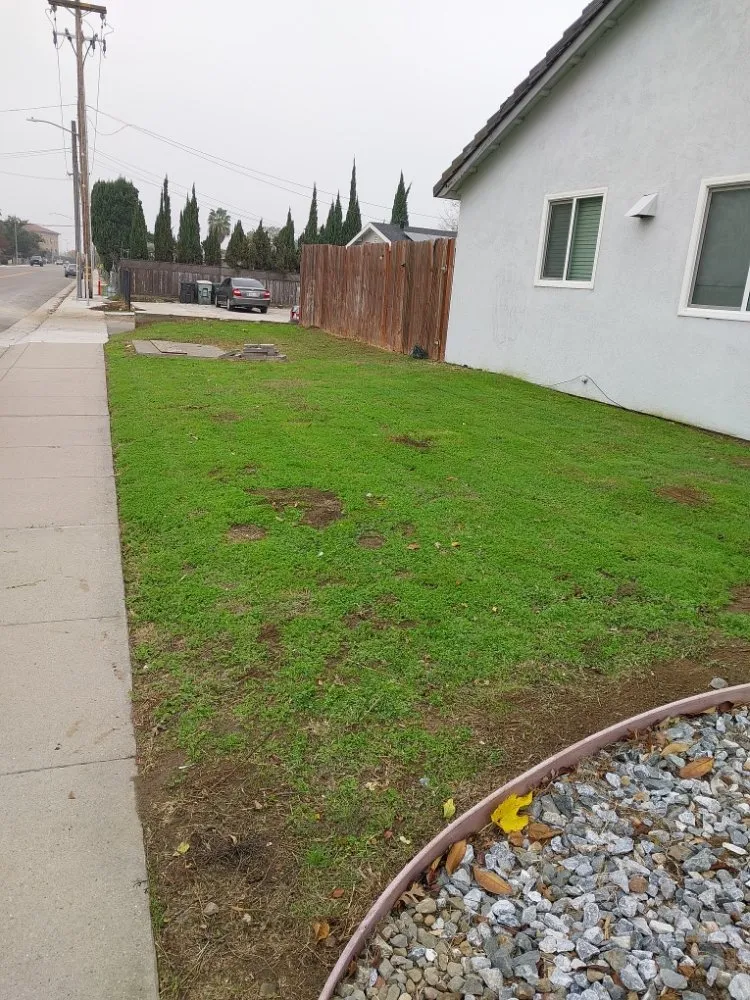 Expert landscape installation for homes across Manteca, CA - Hughes and Sons