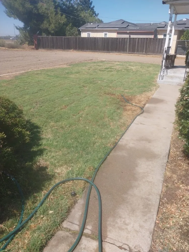 Top-rated landscape installation for homes in Manteca, CA by Hughes and Sons