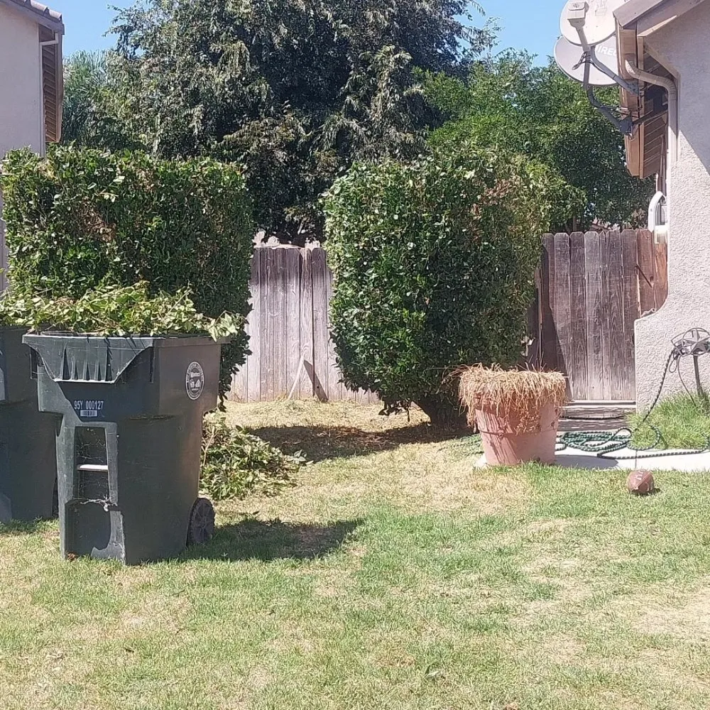 Affordable yard cleanup service experts serving Manteca, CA - Hughes and Sons