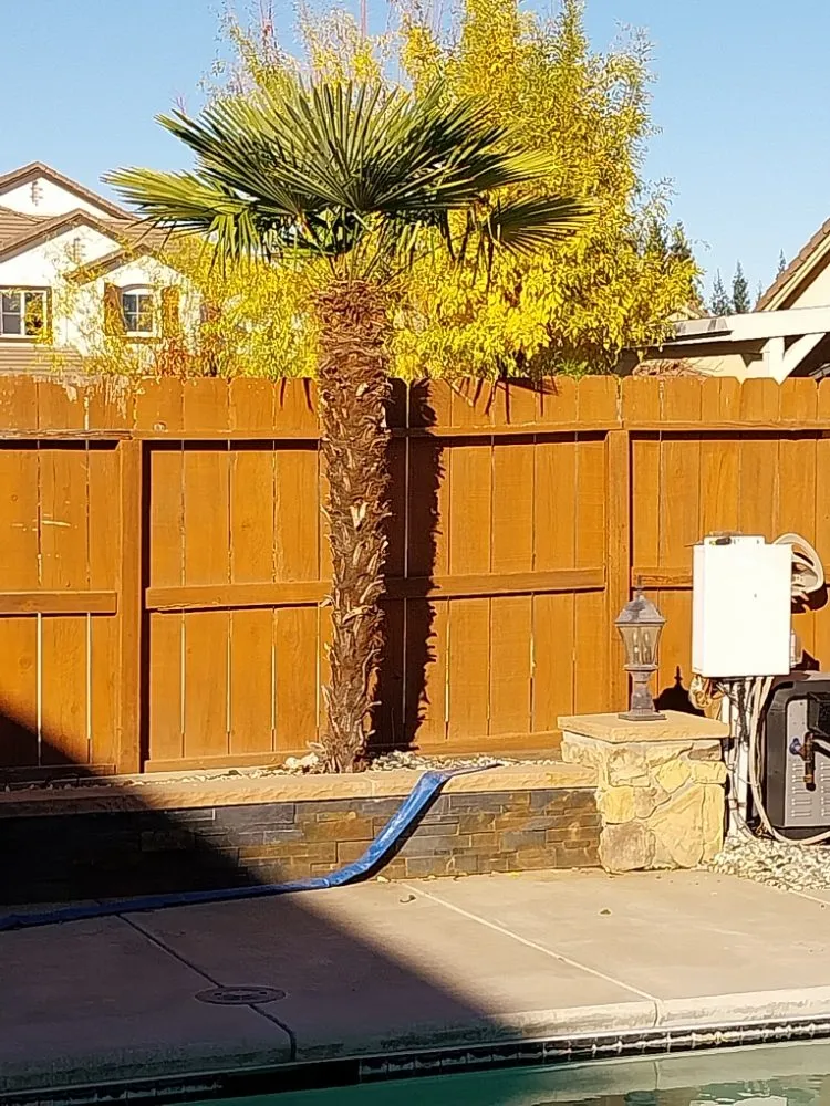 Reliable lawn mowing service in Manteca, CA by Hughes and Sons