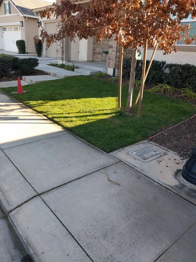 Reliable lawn care service experts serving Manteca, CA - Hughes and Sons