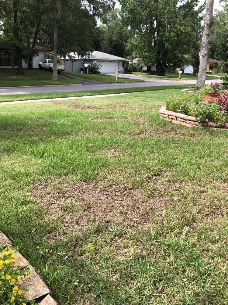 Top-rated residential landscaping for residential properties across Tampa, FL - Hughes Exterminators