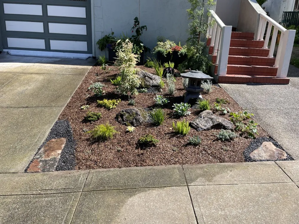 Professional yard cleanup service in San Francisco, CA - Hughes Gardens
