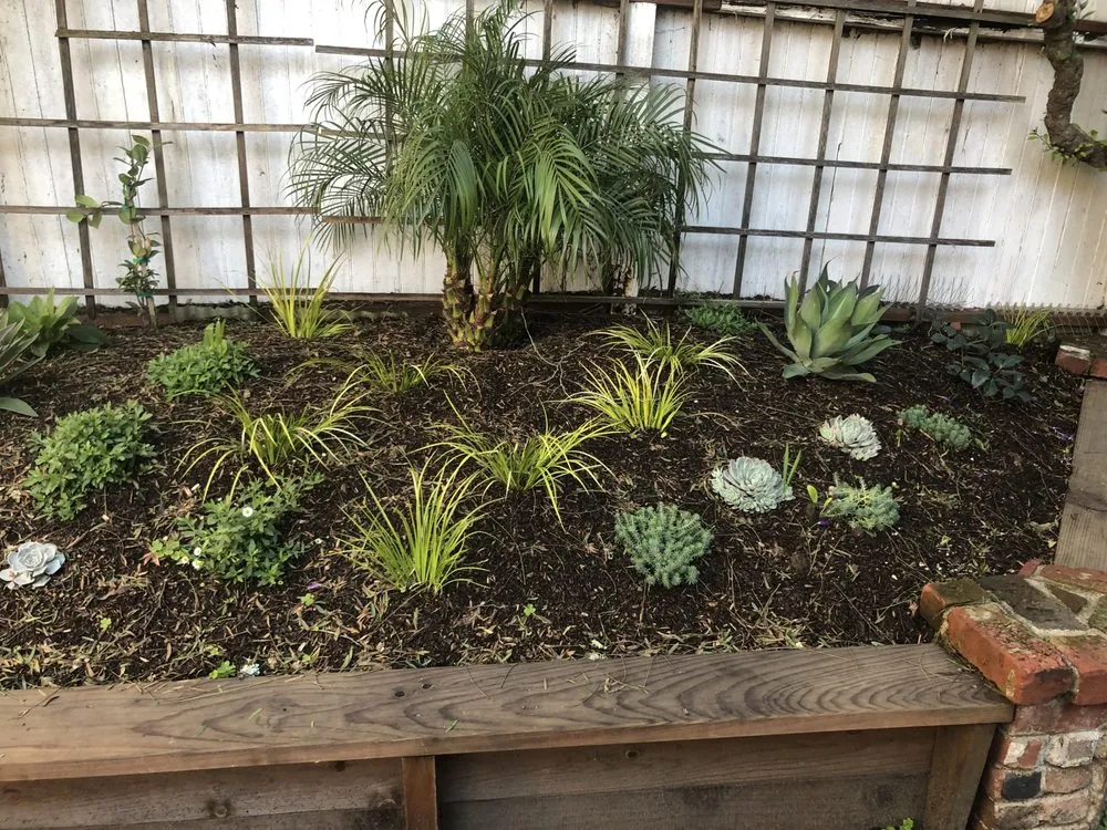 Trusted lawn care service in San Francisco, CA by Hughes Gardens