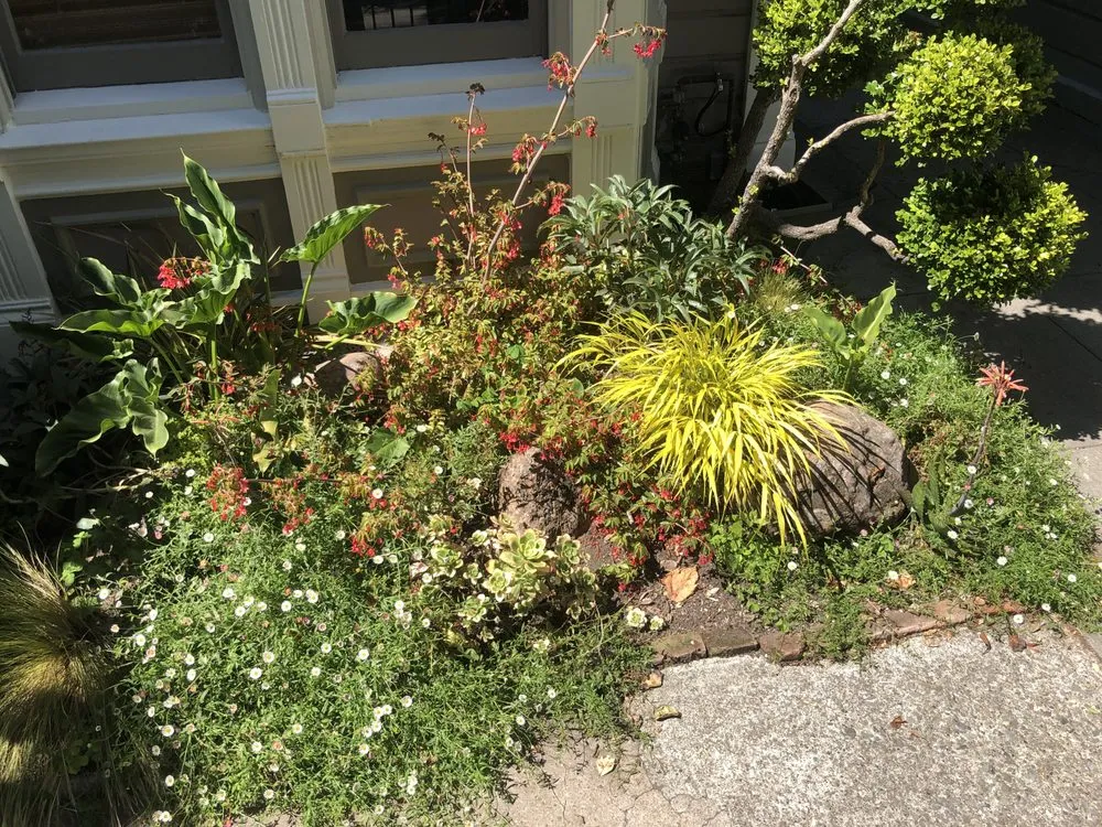 Top-rated outdoor landscaping for homes across San Francisco, CA - Hughes Gardens