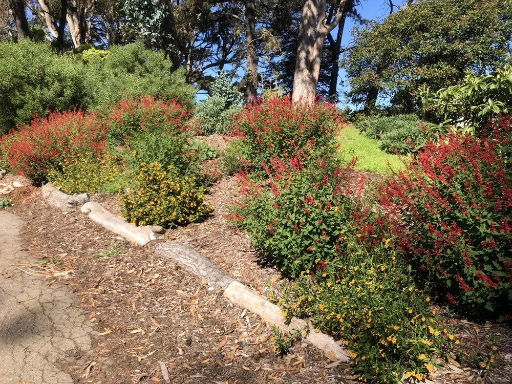 Affordable residential landscaping experts serving San Francisco, CA - Hughes Gardens