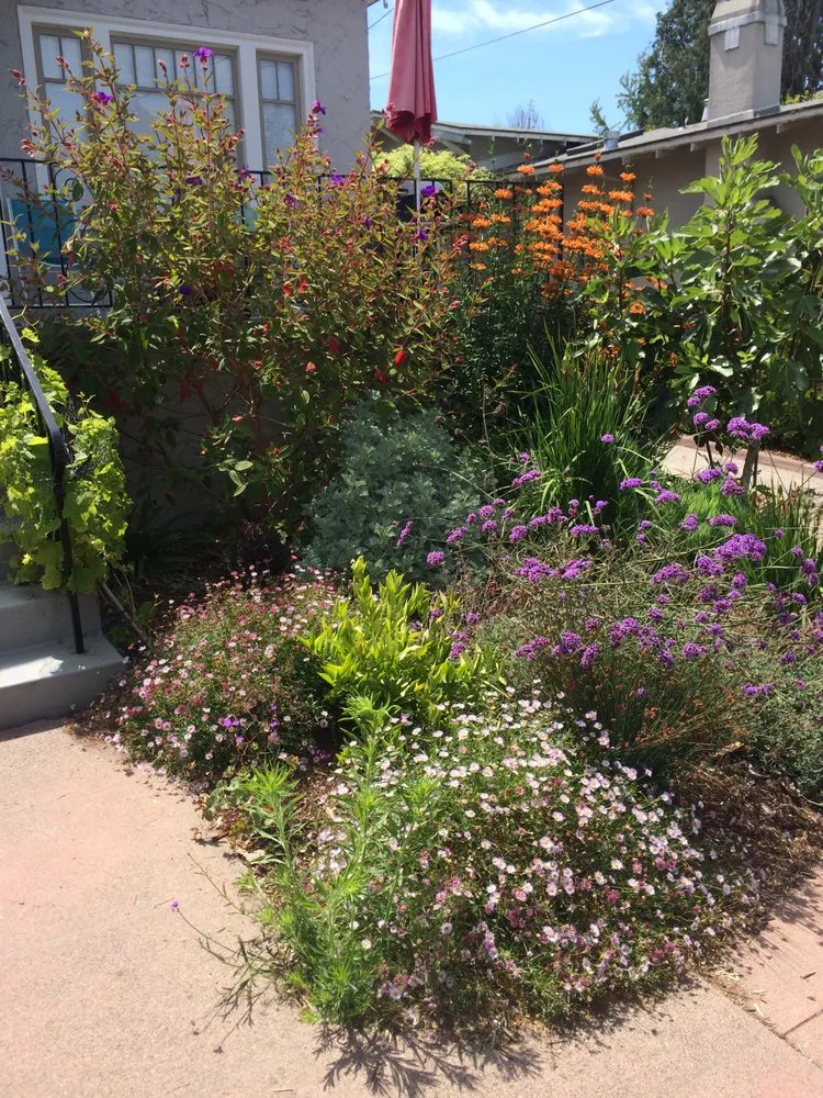 Custom yard maintenance experts serving San Francisco, CA - Hughes Gardens