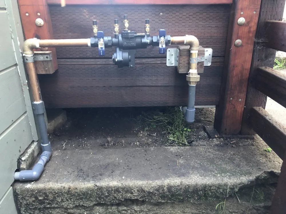 Affordable residential landscaping in San Francisco, CA by Hughes Gardens