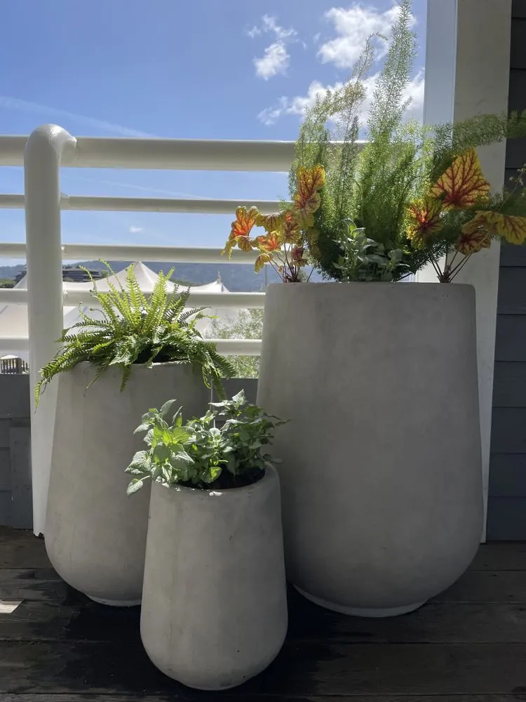 Trusted landscaping services for beautiful yards in San Francisco, CA by Hughes Gardens