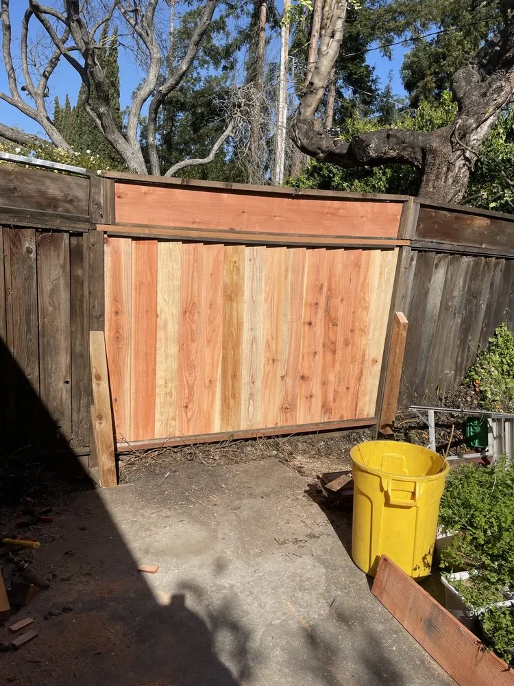 Custom lawn care service for beautiful yards in San Francisco, CA by Hughes Gardens