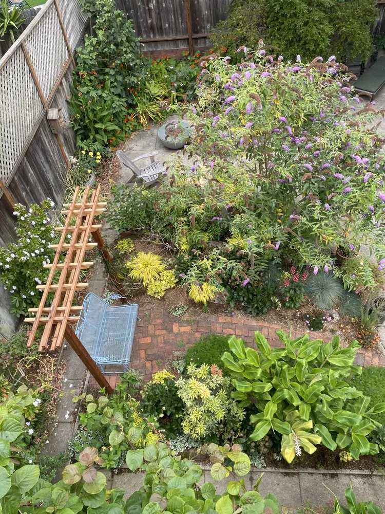 Top-rated garden landscaping experts serving San Francisco, CA - Hughes Gardens