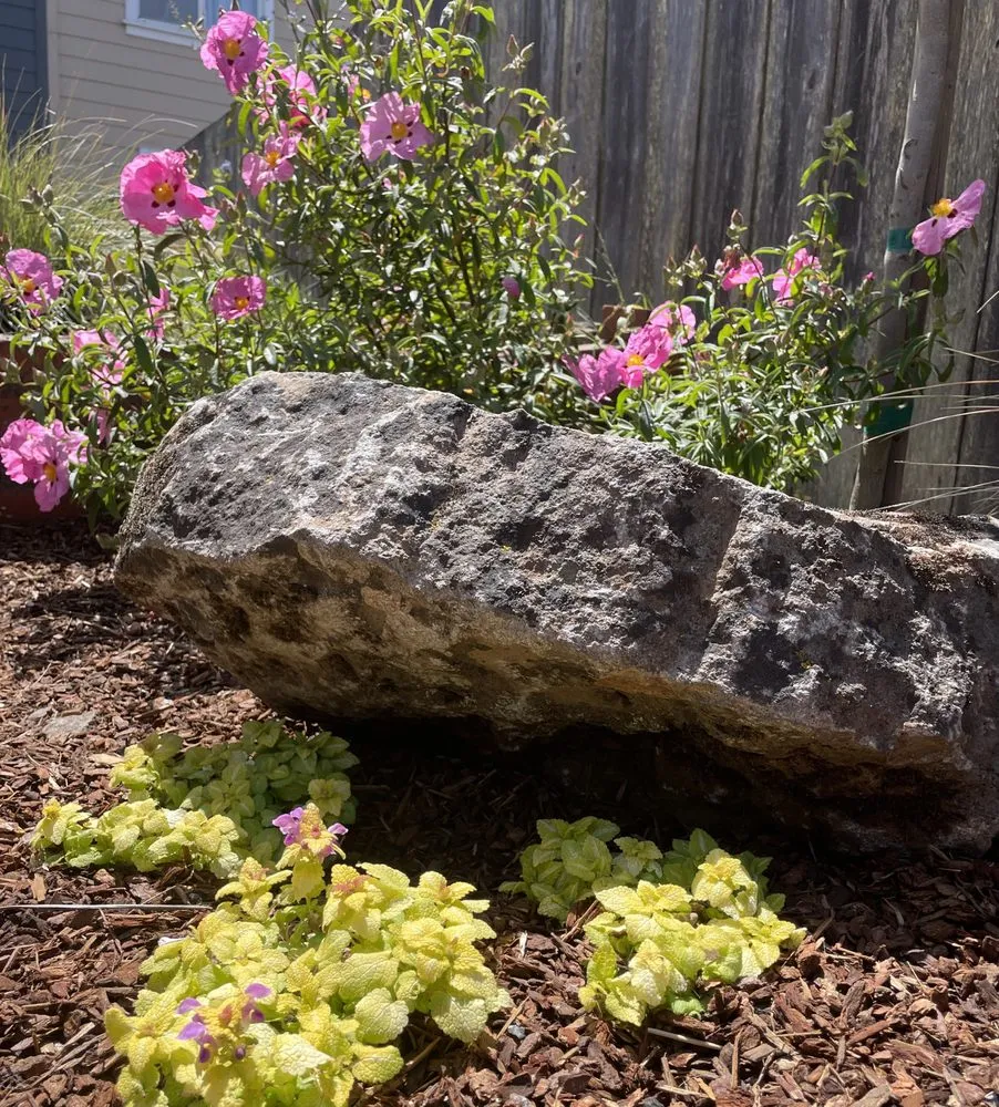 Expert landscape installation experts serving San Francisco, CA - Hughes Gardens