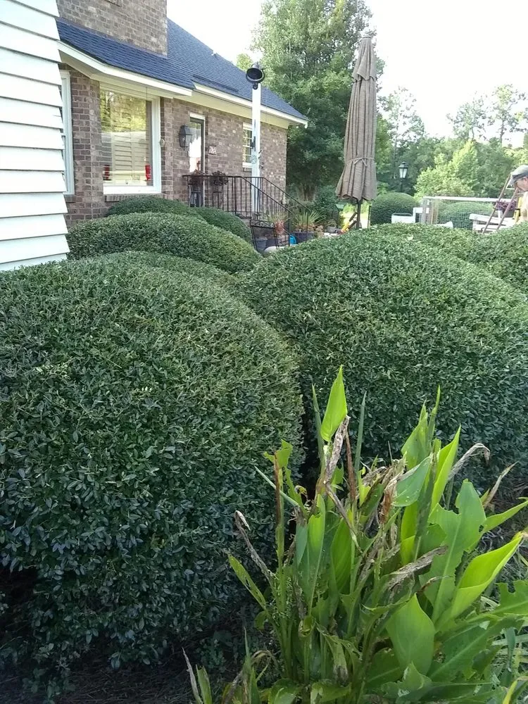 Top-rated lawn care service in Orangeburg, SC - Hughes Home Repairs And Landscaping