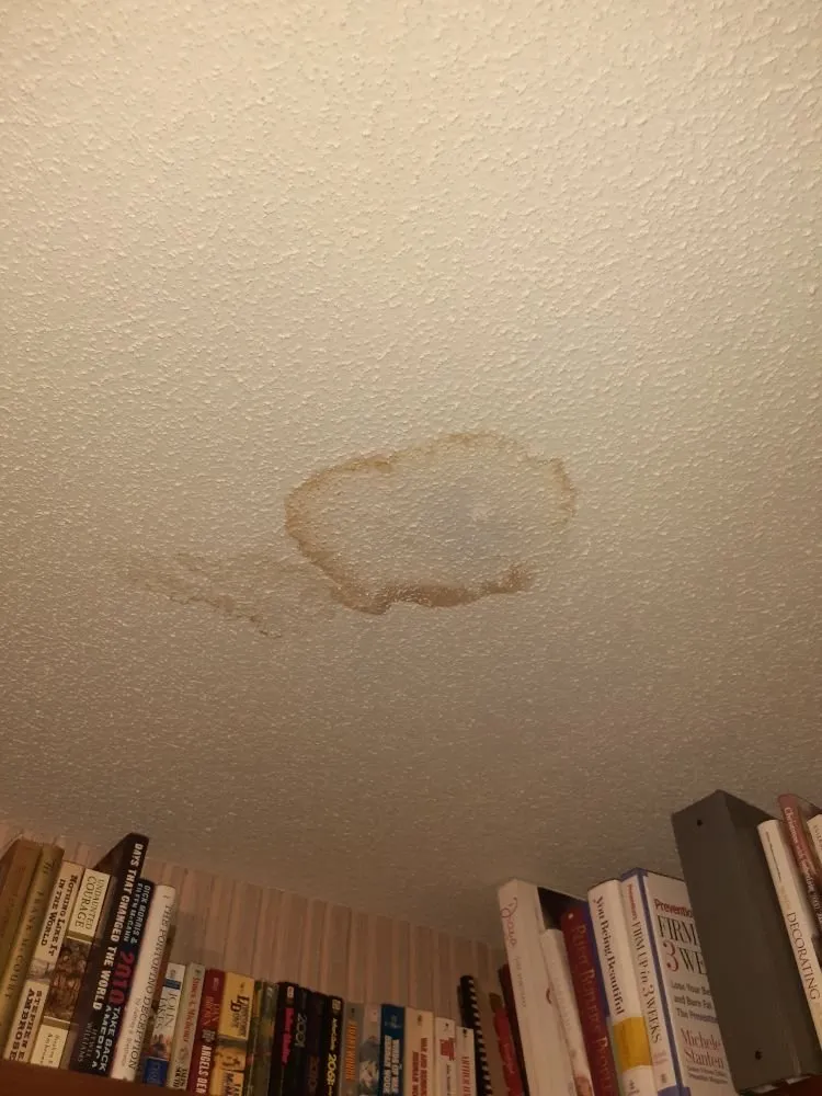 Affordable lawn care service for year-round maintenance in Orangeburg, SC by Hughes Home Repairs And Landscaping