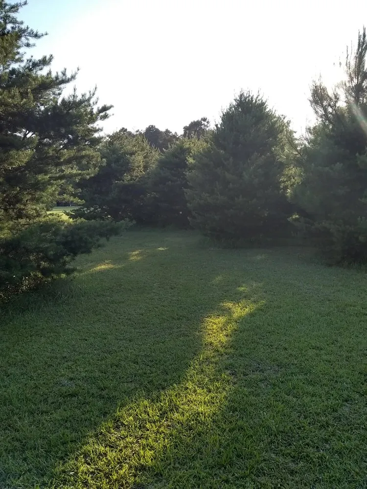 Top-rated landscape design in Orangeburg, SC by Hughes Home Repairs And Landscaping