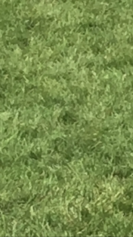 Custom lawn care service near you across Saint Paul, MN - Hughes Kern Lawn Service