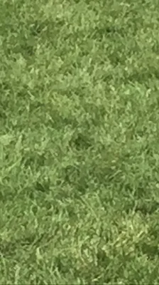 Hughes Kern Lawn Service Logo