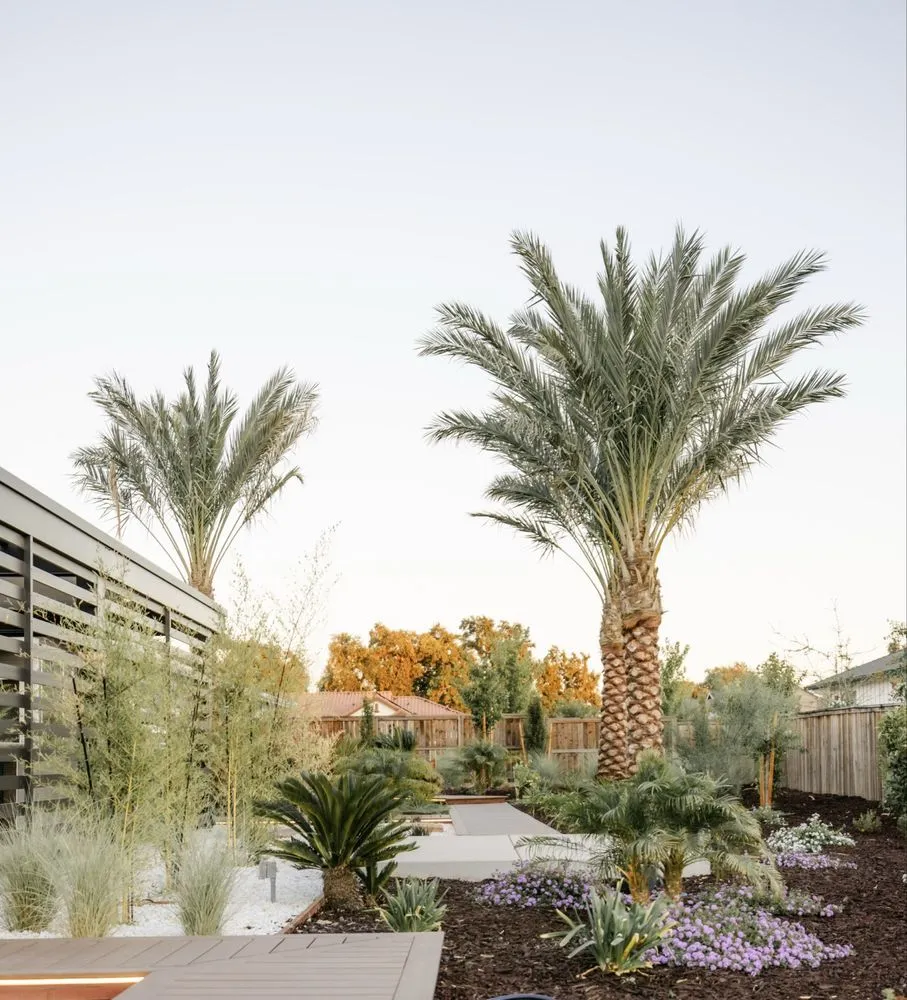 Trusted landscaping services for beautiful yards in El Dorado Hills, CA by Hughes Landscape