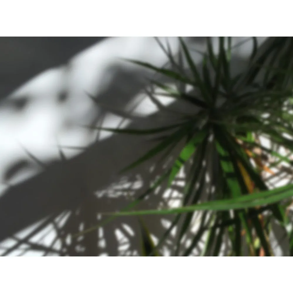 Expert yard maintenance in Poolesville, MD by Hughes Landscaping