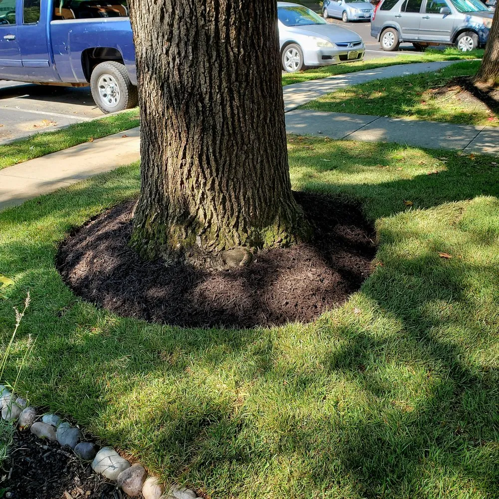 Trusted lawn care service in Poolesville, MD - Hughes Landscaping