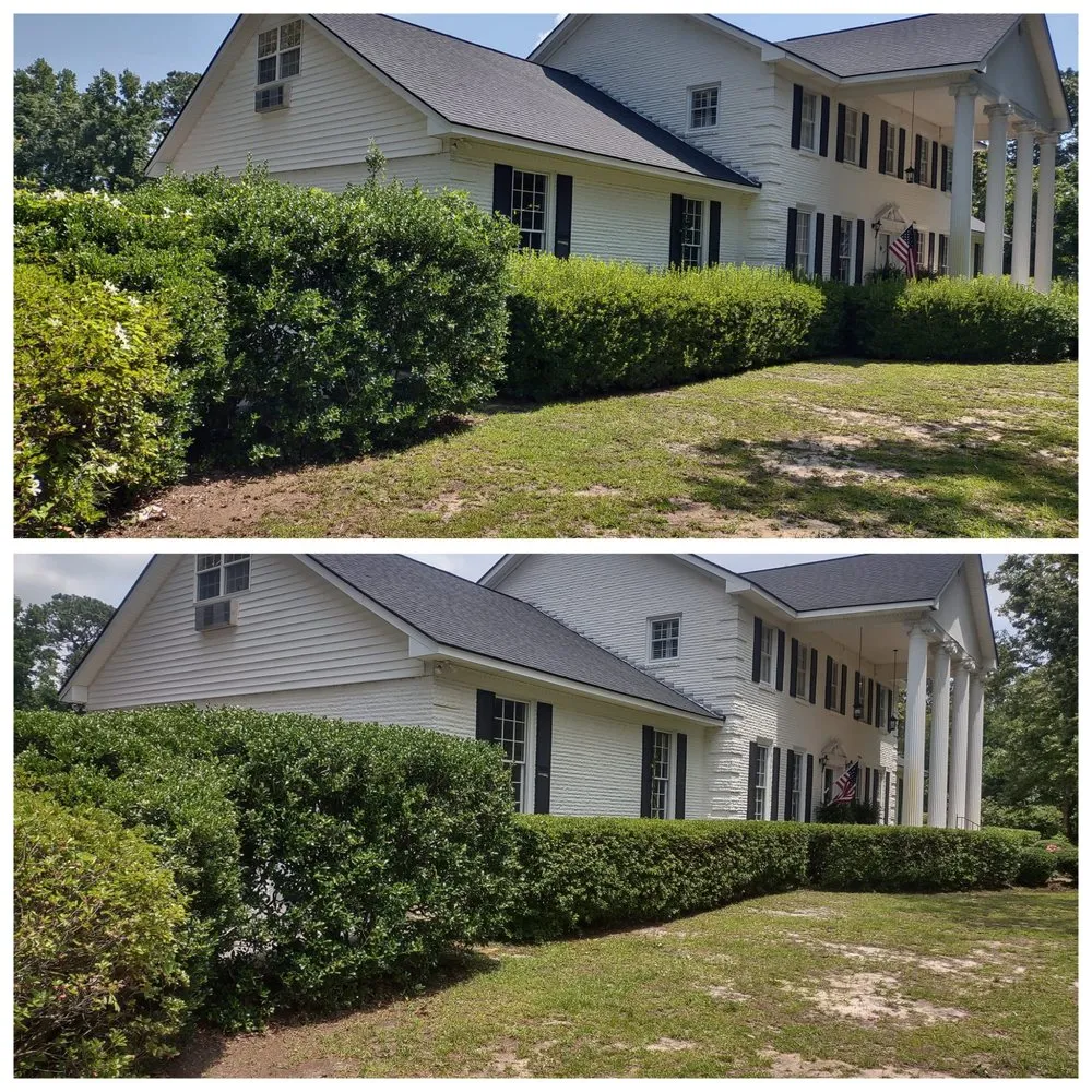 Professional lawn care service for year-round maintenance in Dalzell, SC by Hughes Lawn & Landscaping