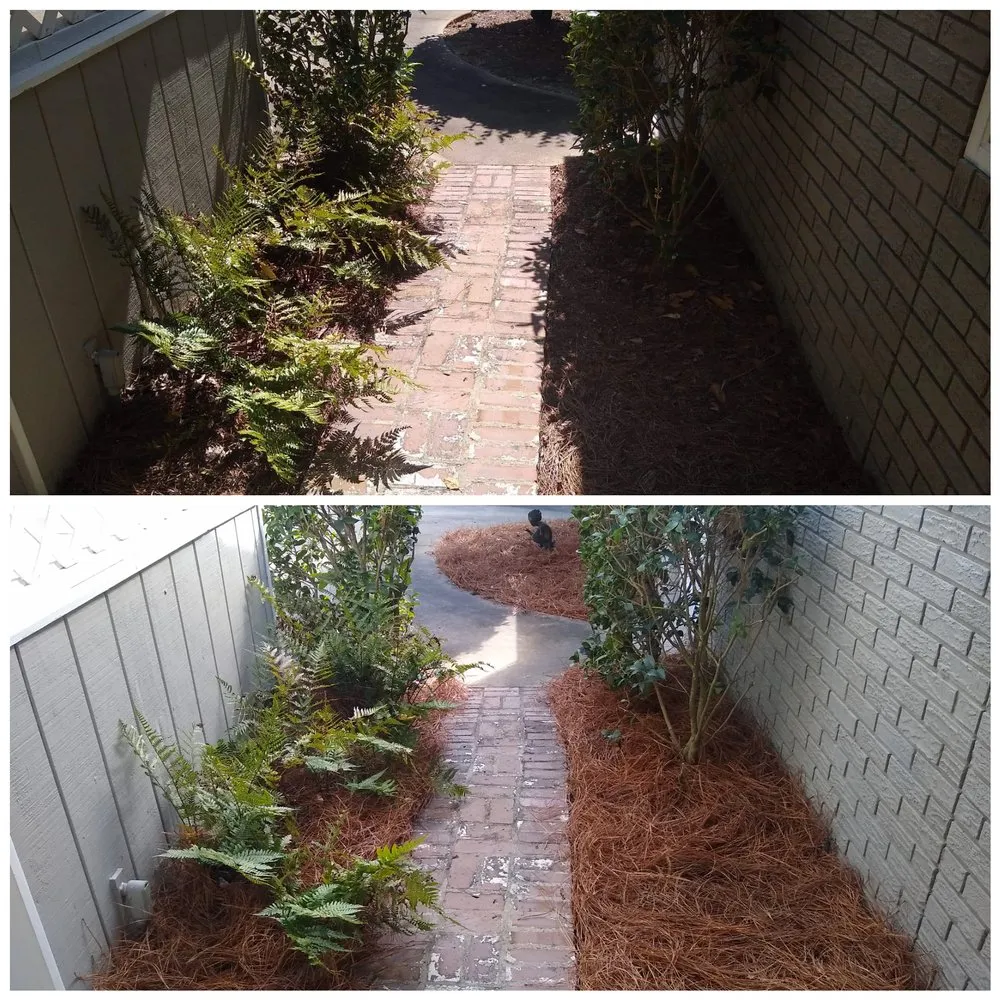 Reliable lawn mowing service for residential properties across Dalzell, SC - Hughes Lawn & Landscaping