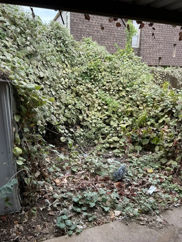 Custom landscape installation for residential properties across North Richland Hills, TX - Hughes Lawn and Irrigation