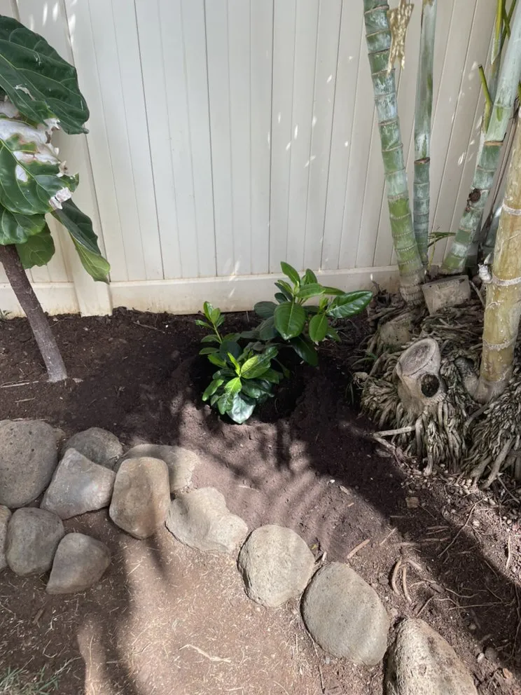 Expert landscaping services in Wahiawa, HI by Hughes Lawn Care