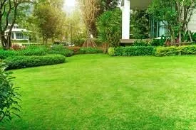 Affordable landscaping services in Rialto, CA by Hughes Lawn Service