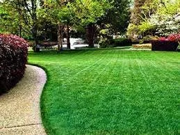 Reliable lawn mowing service in Rialto, CA by Hughes Lawn Service