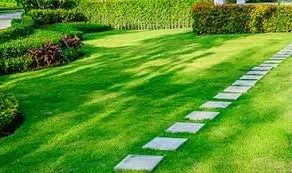 Top-rated lawn care service experts serving Rialto, CA - Hughes Lawn Service