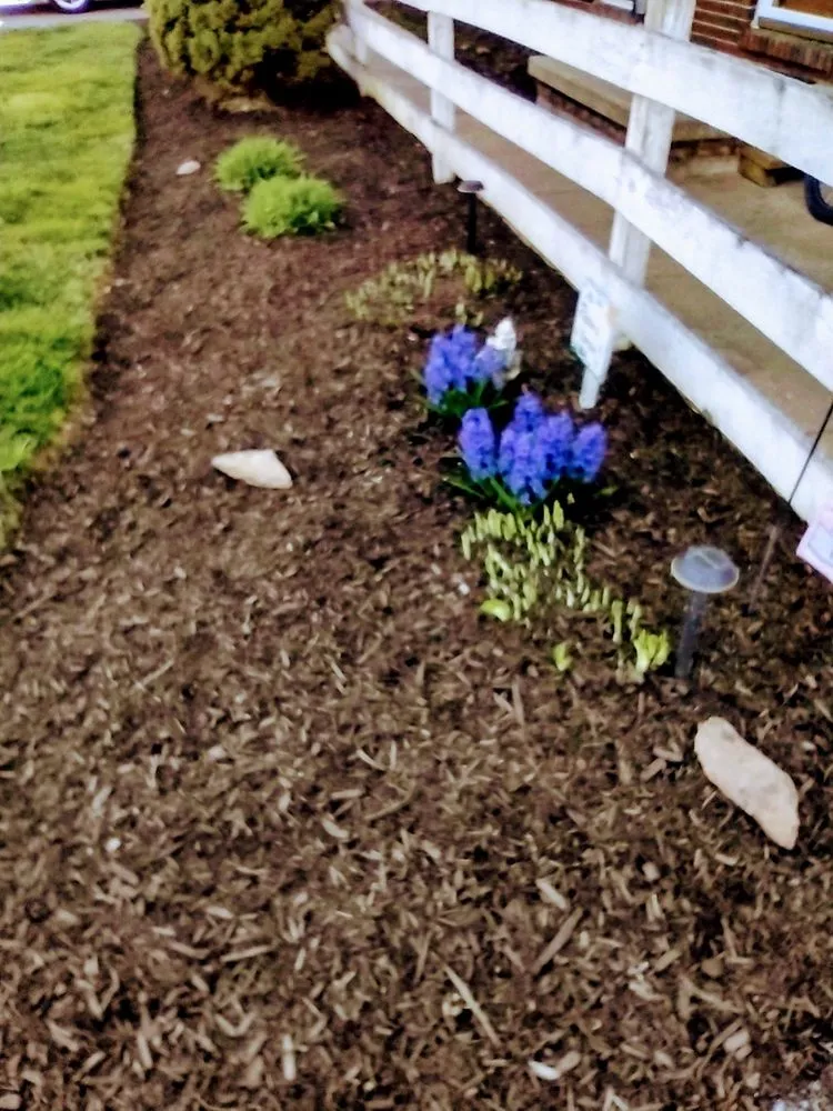 Top-rated garden landscaping for residential properties across Finksburg, MD - Hughes LawnCare