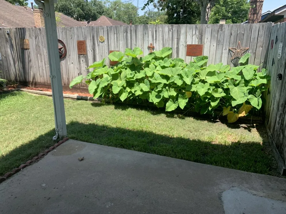 Expert outdoor landscaping experts serving South Houston, TX - Hugh’s Lawn Services