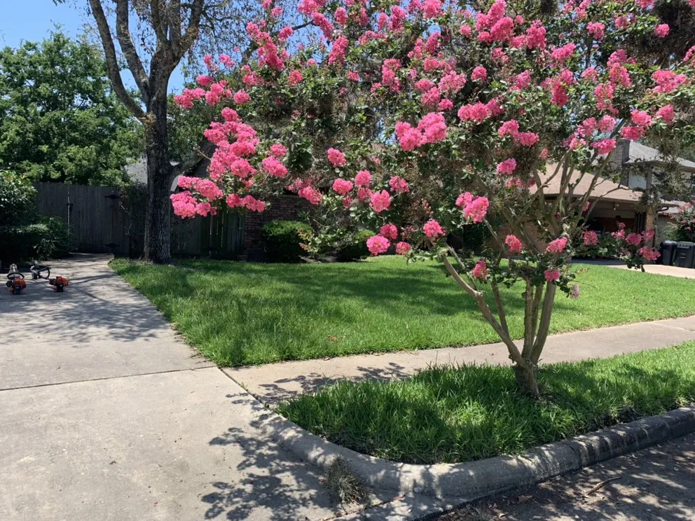 Local garden landscaping in South Houston, TX - Hugh’s Lawn Services