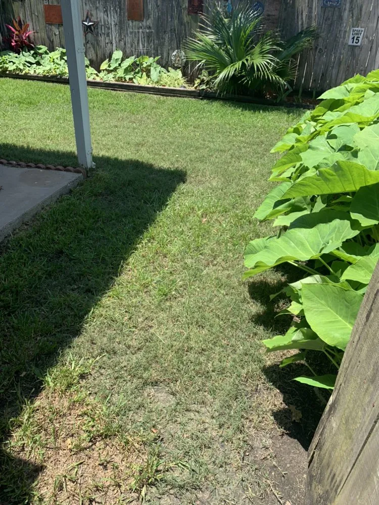 Affordable lawn mowing service for homes across South Houston, TX - Hugh’s Lawn Services