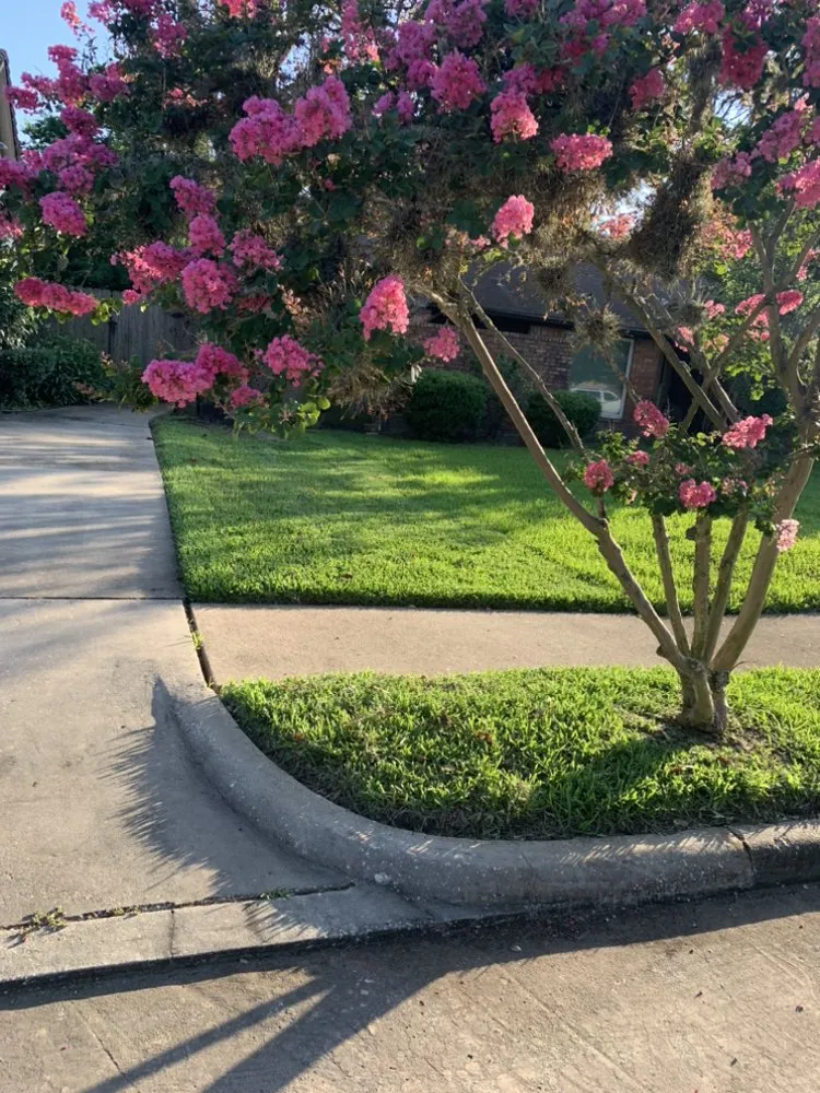 Trusted outdoor landscaping for homes across South Houston, TX - Hugh’s Lawn Services