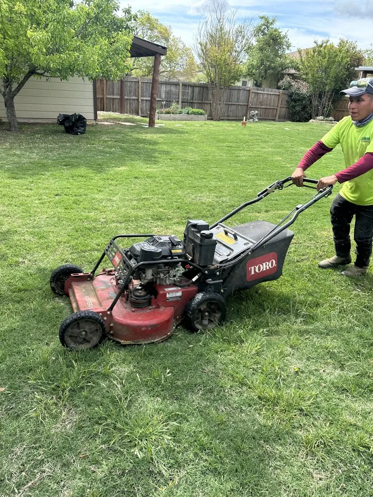 Local landscaping services in Austin, TX by Hugo Grass
