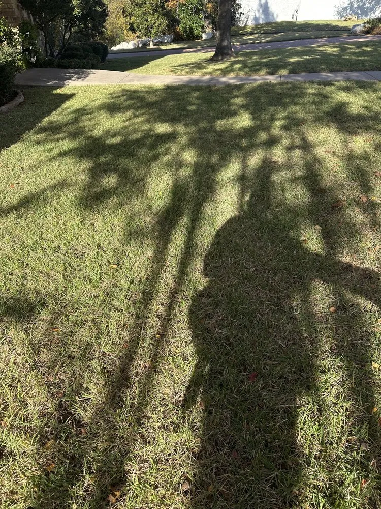 Local outdoor landscaping in Austin, TX - Hugo Grass