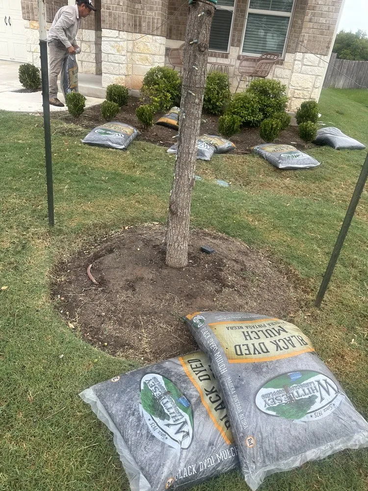 Reliable landscaping services with custom design across Austin, TX - Hugo Grass